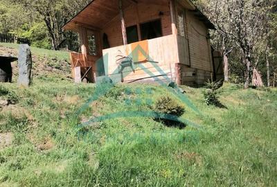 Casă individuală cu 1 camere cu Garaj în Băișoara - 2
