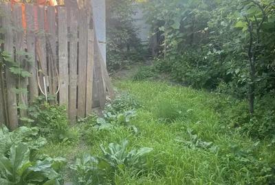 Casă cu 4 camere cu Teren 503 Mp în Târgu Ocna - 1