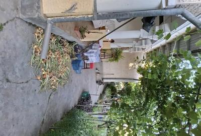 Casă cu 3 camere cu Teren 650 Mp în Sfântu Gheorghe - 4