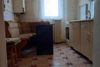 Apartament cu 2 camere semidecomandat în Craiovița Nouă - 1