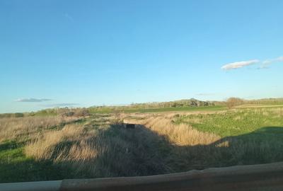 Teren de 5000 mp, în Drânceni - 7