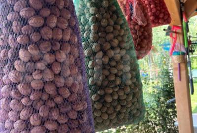 Teren de 20000 mp, în Central - 1