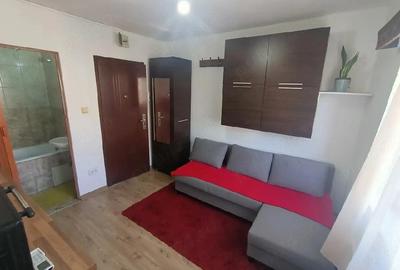 Garsonieră semidecomandată în Lipovei - 8