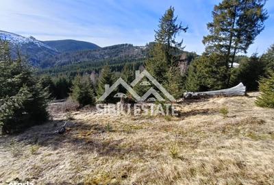 Teren de 2733 mp, în Șugag - 1