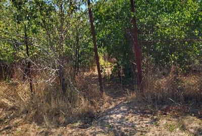 Casă cu 3 camere în Periș - 7