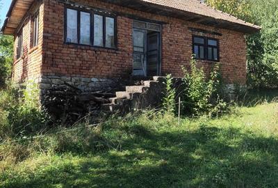 Casa batraneasca din caramida cu gradina la tara in sat Valisoara - 1