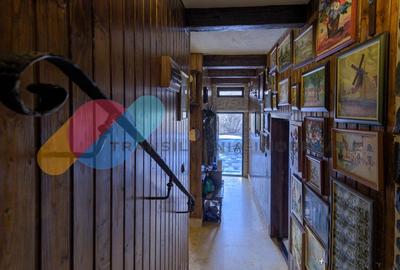 Complex  Printesa din Carpati  - Oportunitate de Investitie Unica pe Valea Aries Complex  Printesa din Carpati  - Oportunitate de Investitie Unica pe Valea Aries - 15