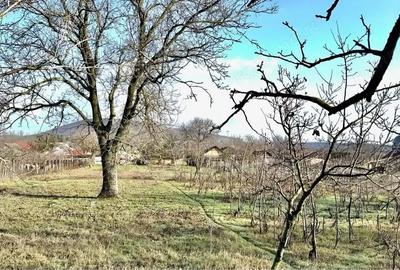 Casă cu 4 camere cu Teren 2000 Mp în Slava Cercheză - 4