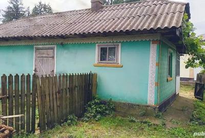 Casă cu 3 camere în Lișna - 1