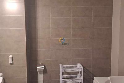 Garsonieră decomandată, mobilată în Teilor - 15