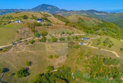 Teren extravilan 6,014mp | Holbav | BRASOV | COMISION 0| - 7