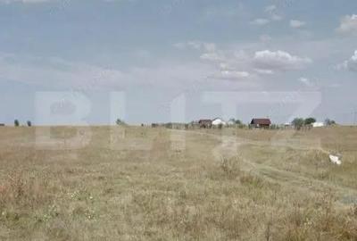 Teren 10.018 mp, investitie, Aeroport/Ghercesti - 1