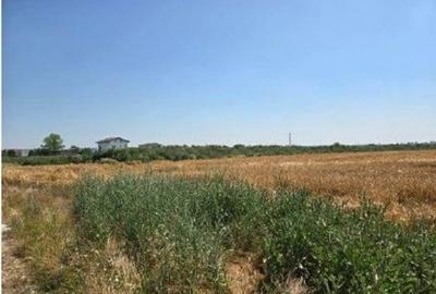 Teren de 1080 mp, în Măgurele - 4