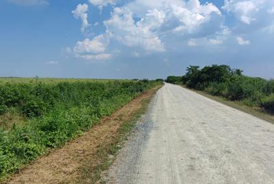 Corbeanca-teren-PUZ-proiect-avans cu rest de plata in 5 ani - 9