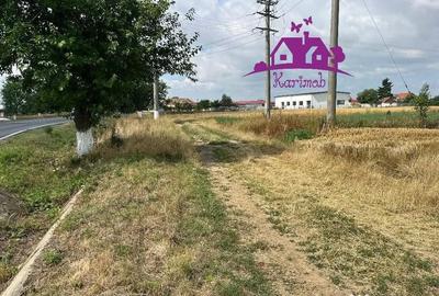 Teren de 28100 mp, în Gepiu - 3