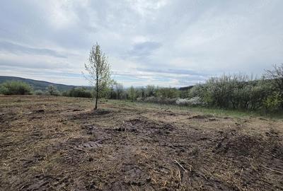 Teren de 6704 mp, în Bârsău - 13