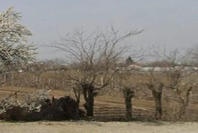 Teren de 2800 mp, în Central