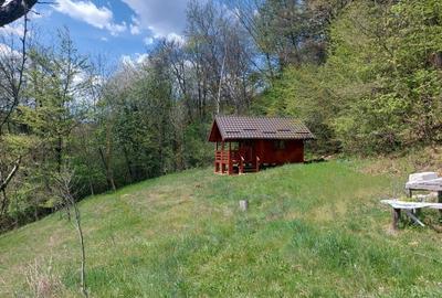 Casa imbratisata de padure - Valea Ursului, Bascov - 15