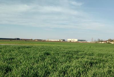 Spațiu comercial, în Balotești - 3