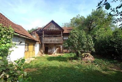 Teren intravilan cu potential, casa si anexe in Lunca - 2