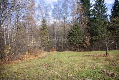 Teren intravilan, cu PUZ, Bran Tohanita,  SE ACCEPTĂ ȘI SCHIMB - 24