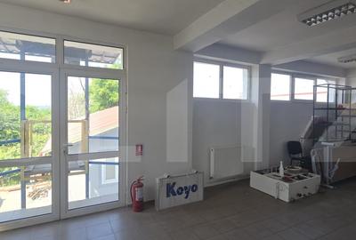 Spațiu comercial, de 750 mp, în Calea Severinului - 4