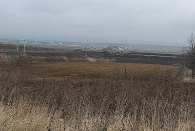 Teren de 12500 mp, în Nicolae Bălcescu - 8