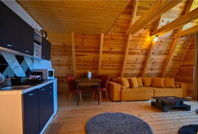A Frame cu vedere la Piatra Craiului Moieciu, Brasov - 10