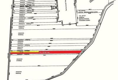 TARTASESTI - Str. Giurgiului, 20.000 mp. teren din care 12.500 in INTRAVILAN - 4