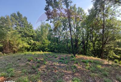 Spațiu comercial, în Central - 4