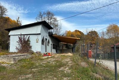 Imobil  comercial in  Zona  bailor Telega, spre  Crucea Domnitorului - 2