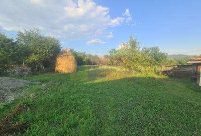 Casa de vanzare in Brebu - Zona Brebu Megiesesc - 4