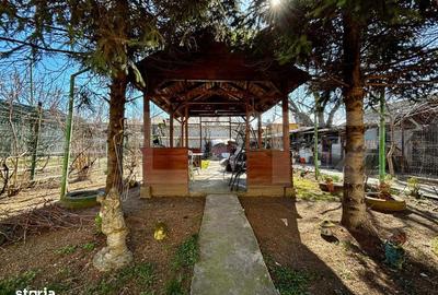 Casă cu 5 camere cu Teren 372 Mp în Bariera Vâlcii - 3