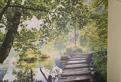 Apartament cu 2 camere semidecomandat în Ultracentral - 6