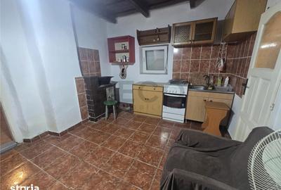 Casă cu 2 camere cu Teren 2685 Mp în Curtuișeni - 8