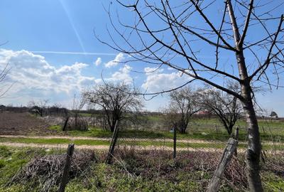 Teren de 1350 mp, în Leu - 6