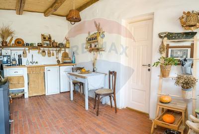 Casa saseasca in inima Transilvaniei - Bruiu 326 - 22
