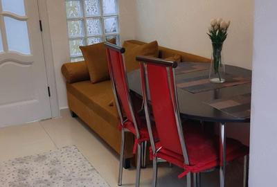 Apartament cu 2 camere decomandat în Dacia - 8