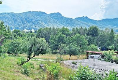 Bran- Predelut, 1000mp teren pentru casa de vacanta, pret 45 euro/mp - 3