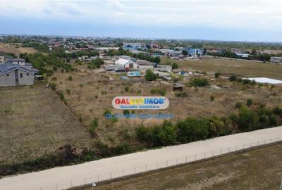 Teren 3000 m.p. Penny Mihailesti - 5