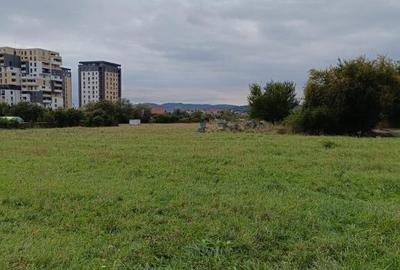 Teren de 8000 mp, în Centura