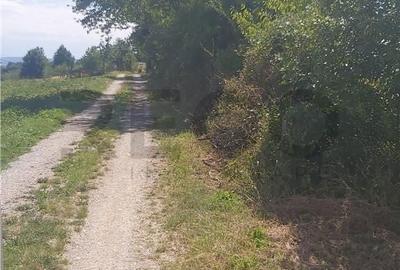 Teren de 3500 mp, în Girișu de Criș - 4
