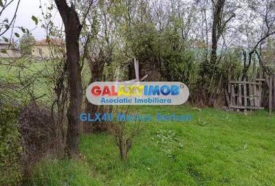 Teren de 3000 mp, în Petrești - 7