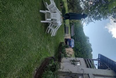 Casă cu Teren 11196 Mp în Central - 9