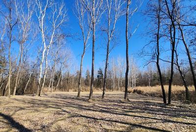 Teren 1667 MP | Zona Strand | Bulevard Dem Radulescu - 3