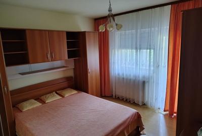Proprietar, vand apartament cu 3 camere in zona Lipovei - 4