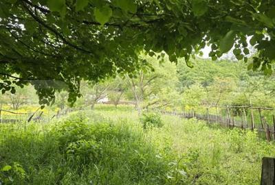 Teren intravilan Ciucea - 3