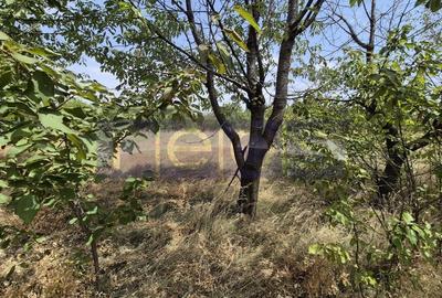 De vanzare teren industrial in Calarasi/Belciugatele - 13