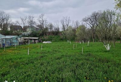 Teren de 1809 mp, în Moțăieni