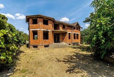 Două case pe Calea Radnei comision 0 - 3